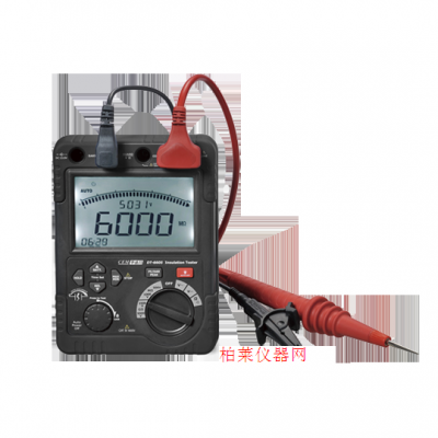華盛昌 DT-6605專業(yè)高壓絕緣電阻測(cè)